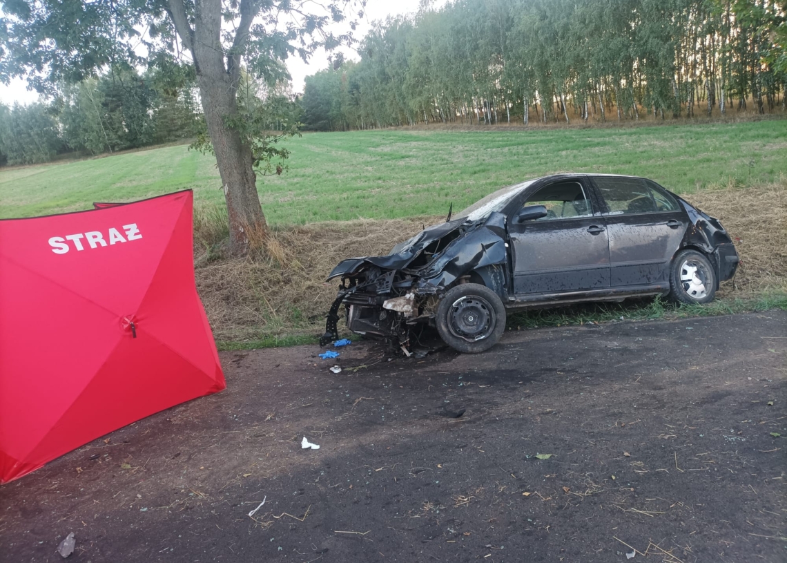 Śmiertelny wypadek w Bogumiłowie