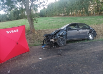 Śmiertelny wypadek w Bogumiłowie