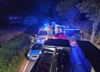 Pstrokonie Wypadek. Fot. KP PSP w Zduńskiej Woli