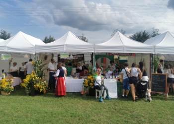Święto Chrzanu w Osjakowie, czyli konkursy, biesiady i regionalne dania