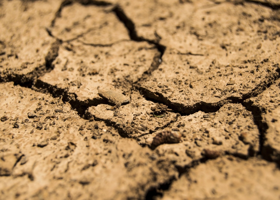 Susza - jakie są zagrożenia i skutki ocieplenia klimatu? 1 Susza