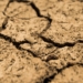 Susza - jakie są zagrożenia i skutki ocieplenia klimatu? 7 Susza