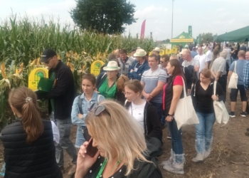 Narodowy Dzień Kukurydzy w Zduńskiej Dąbrowie