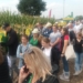 Narodowy Dzień Kukurydzy w Zduńskiej Dąbrowie