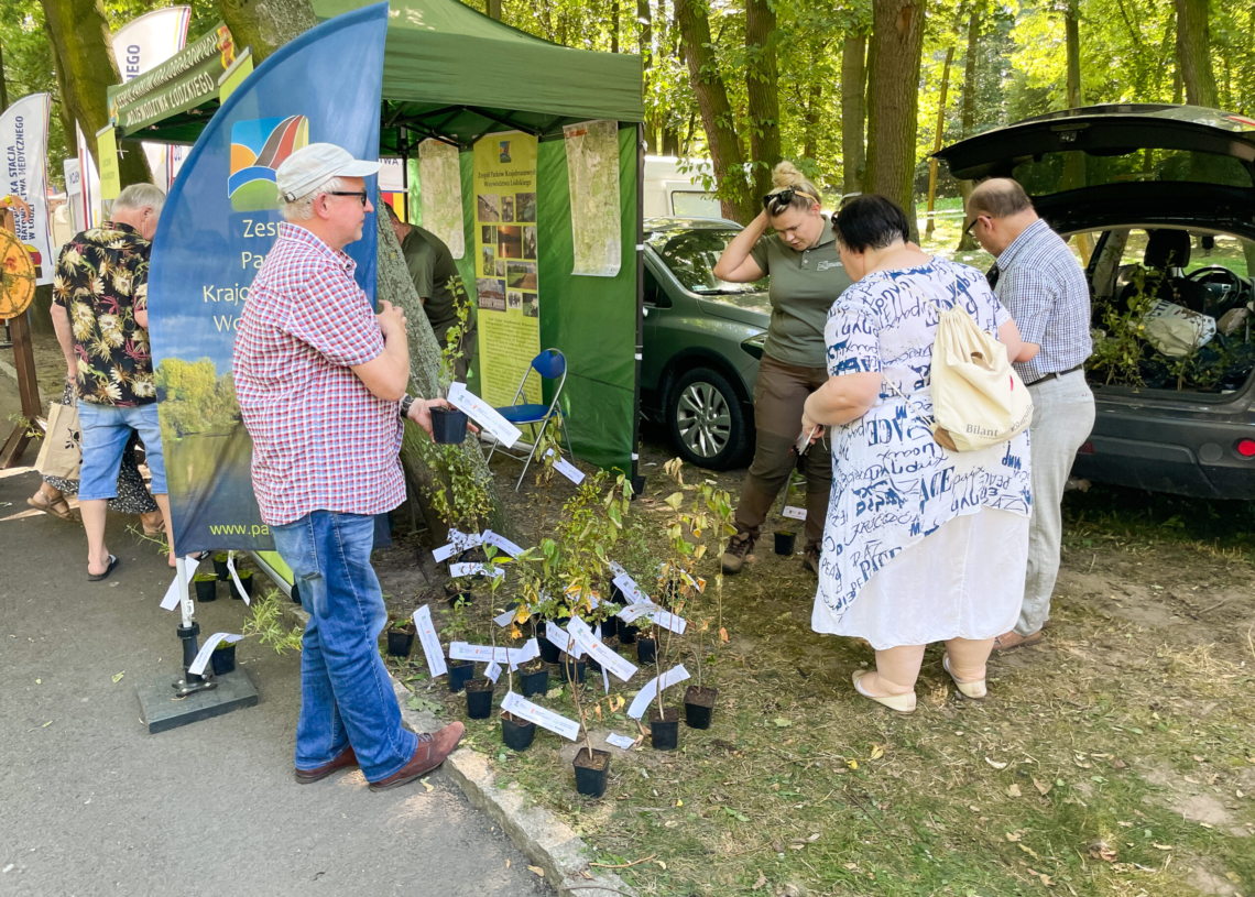 Piknikowo i sportowo w Sieradzu