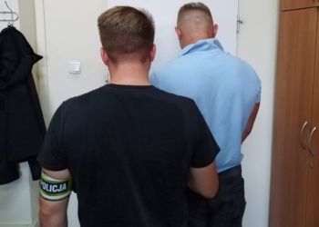 Wandal ze Skierniewic zniszczył 8 samochodów