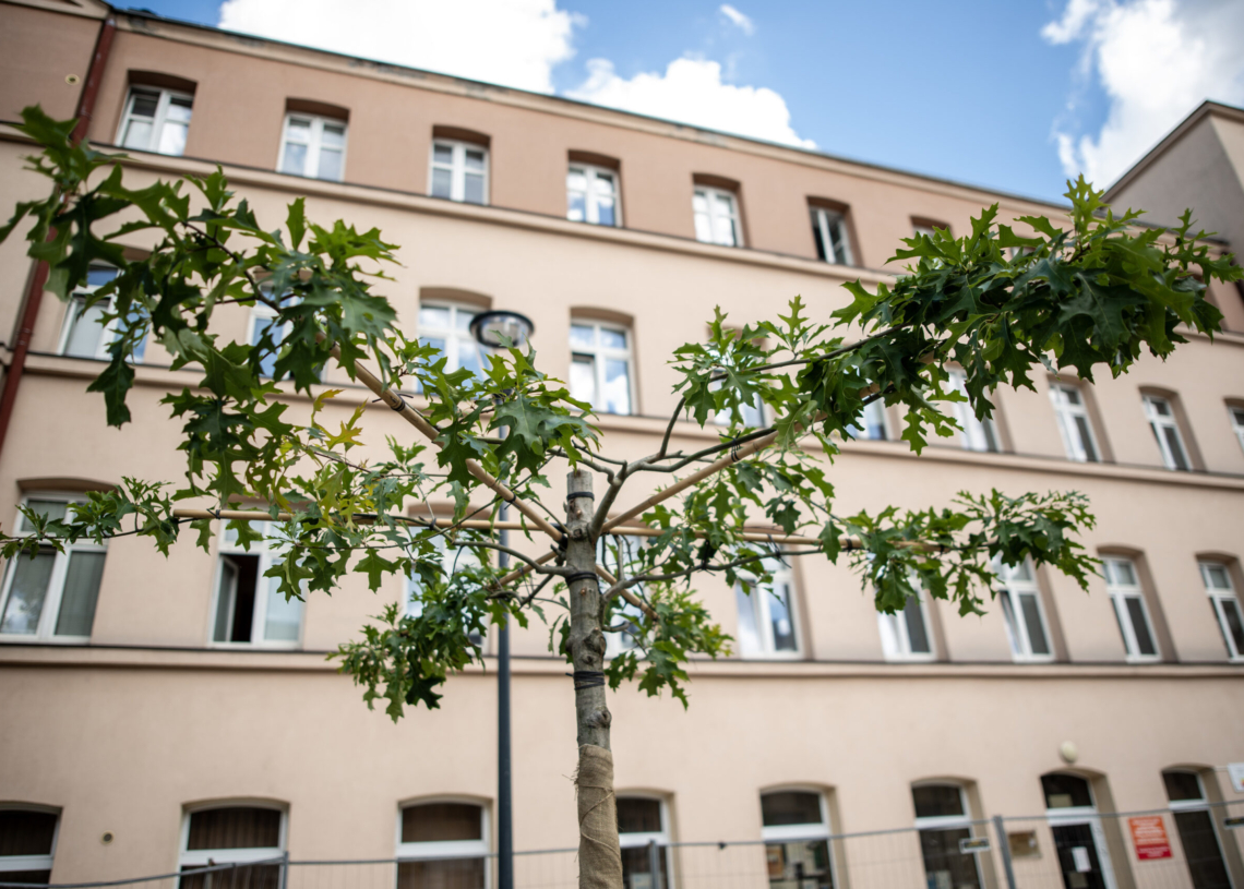 Modernizacja Pasażu Schillera. Minął rok od rozpoczęcia prac