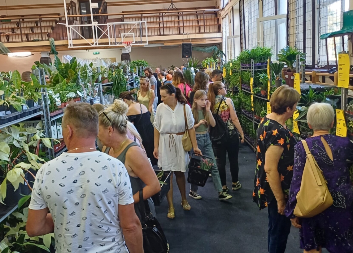 Festiwal Roślin w Piotrkowie Trybunalskim 1 Festiwal Roślin