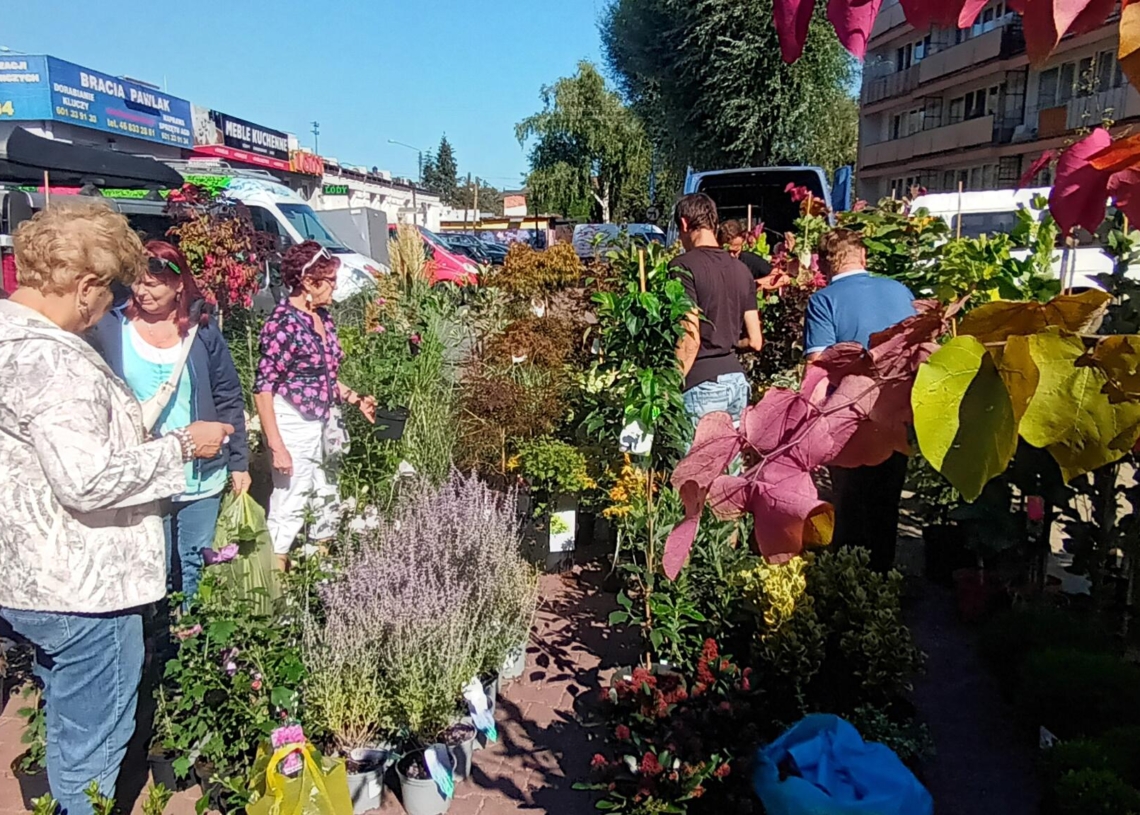 Święto Kwiatów, Owoców i Warzyw w Skierniewicach