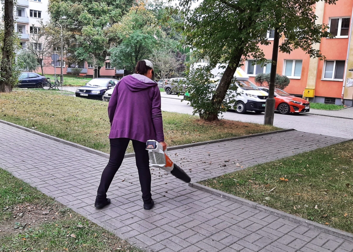 Dmuchawy do sprzątania liści - czy w Łodzi powinien obowiązywać zakaz ich używania? 1 Dmuchawy do sprzątania liści