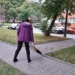 Dmuchawy do sprzątania liści - czy w Łodzi powinien obowiązywać zakaz ich używania? 7 Dmuchawy do sprzątania liści