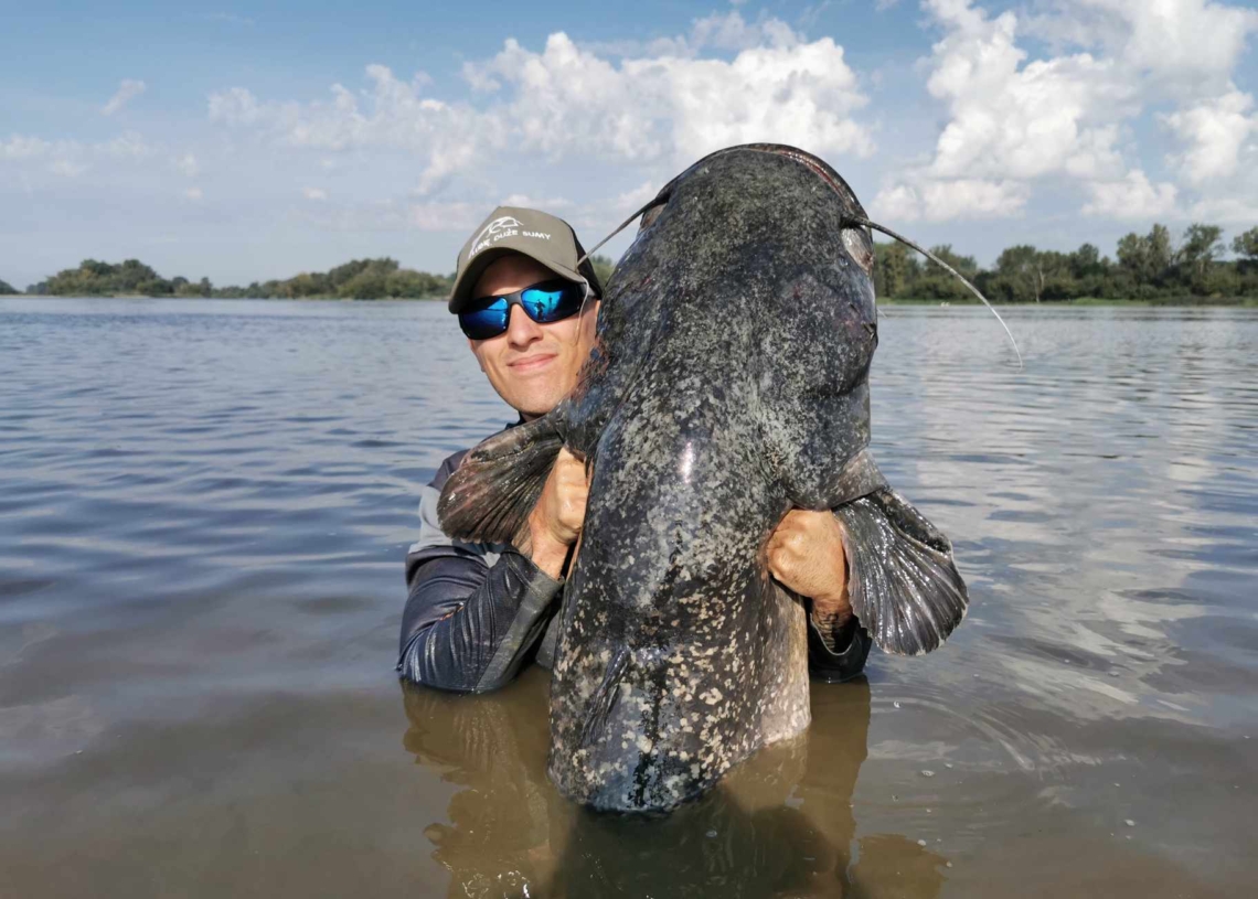 Gigantyczny sum, ważący 80 kg, został złowiony przez bełchatowianina