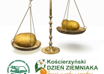 Dzień Ziemniaka w Kościerzynie