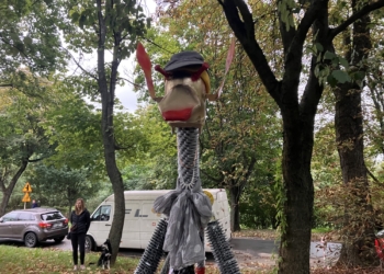 Koń Bałutek