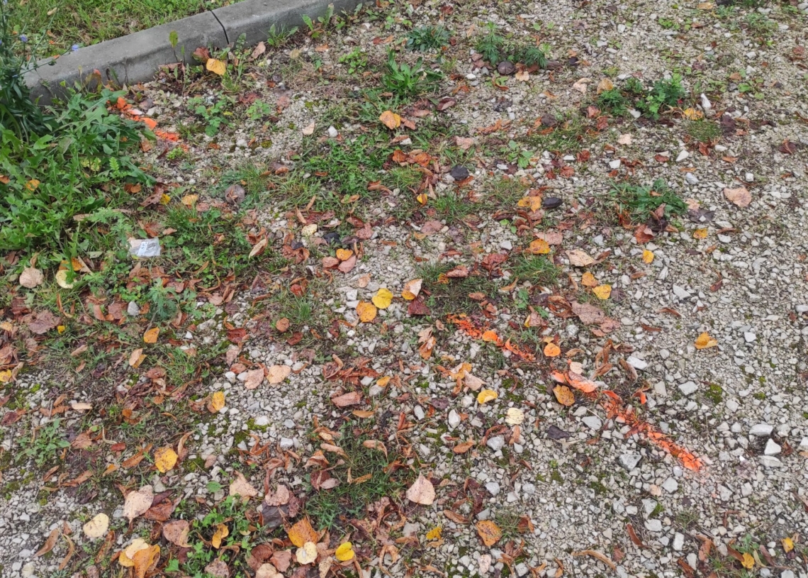 Mieszkańcy Babiczek nie chcą zmiany przebiegu drogi, której modernizacja właśnie się zaczyna