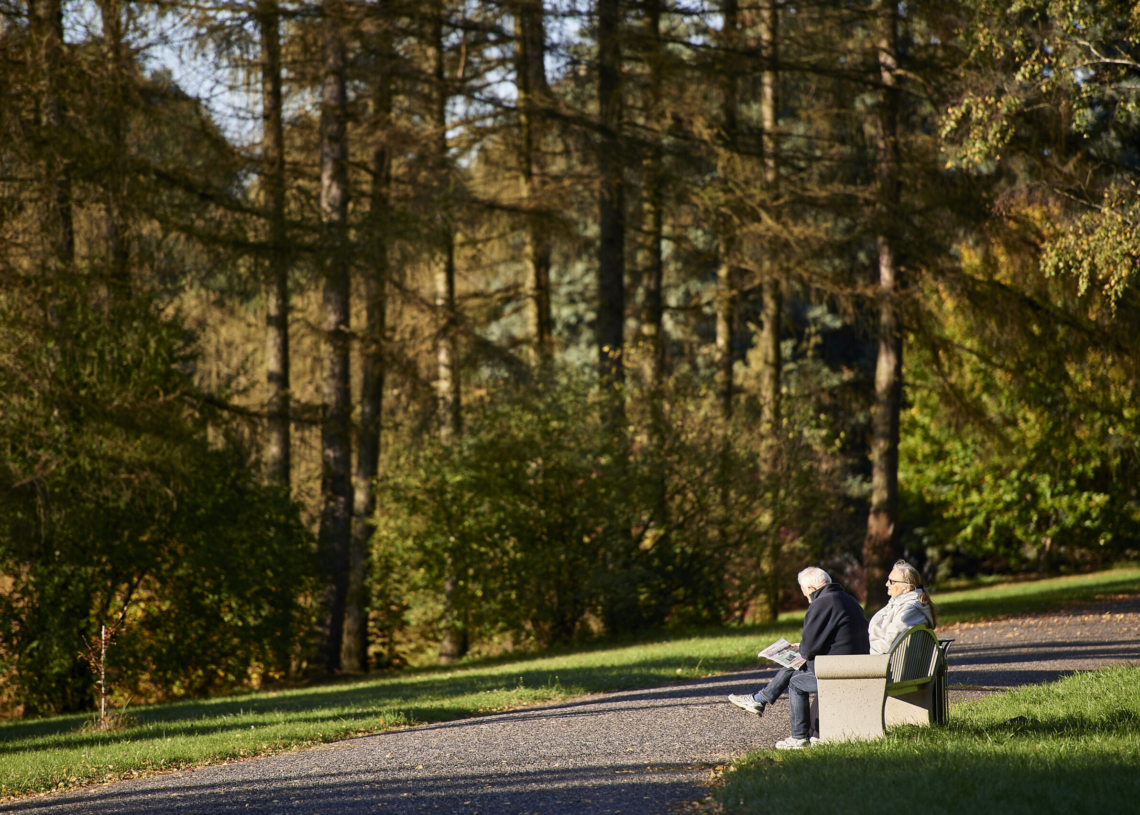 Od dzisiaj (23 września) jesień w kalendarzu, od przyszłego weekendu w Ogrodzie Botanicznym