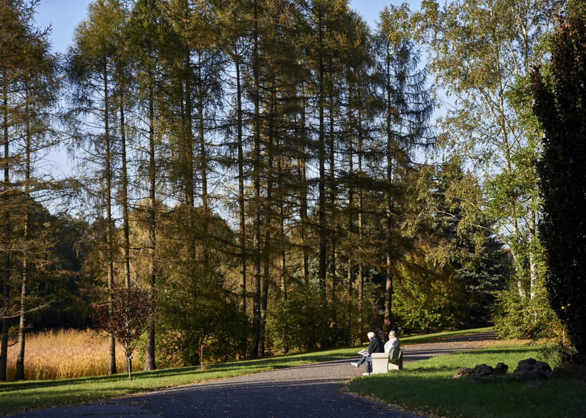 Od dzisiaj (23 września) jesień w kalendarzu, od przyszłego weekendu w Ogrodzie Botanicznym