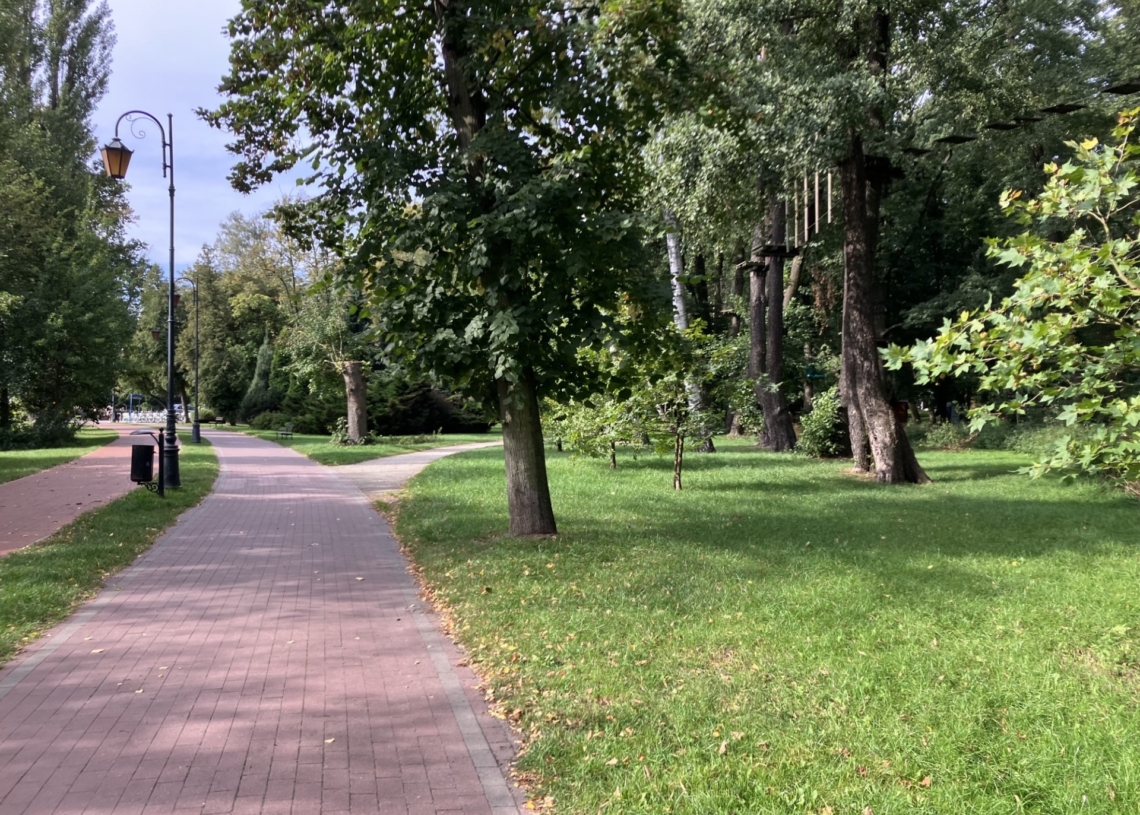 Stan polskich drzew. Zjazd dendrologów w Zgierzu