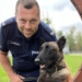 Szel - nowy funkcjonariusz łódzkiej policji 7 Szel - nowy funkcjonariusz łódzkiej policji
