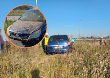 Marzenin: pojechał prosto przez rondo