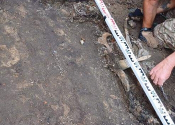 Szkielet na budowie przy Legionów. Fot.: UMŁ
