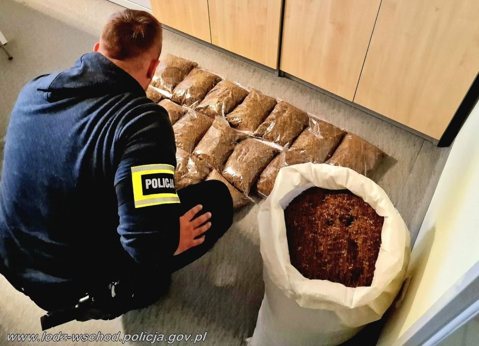 Nielegalny tytoń w Koluszkach