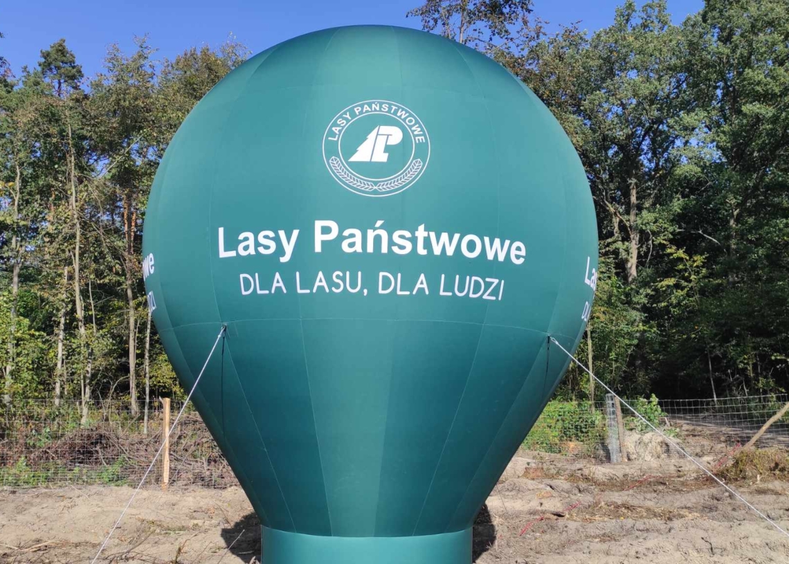 #sadziMY 2023, czyli piąta edycja akcji narodowego sadzenia drzew [ZDJĘCIA]