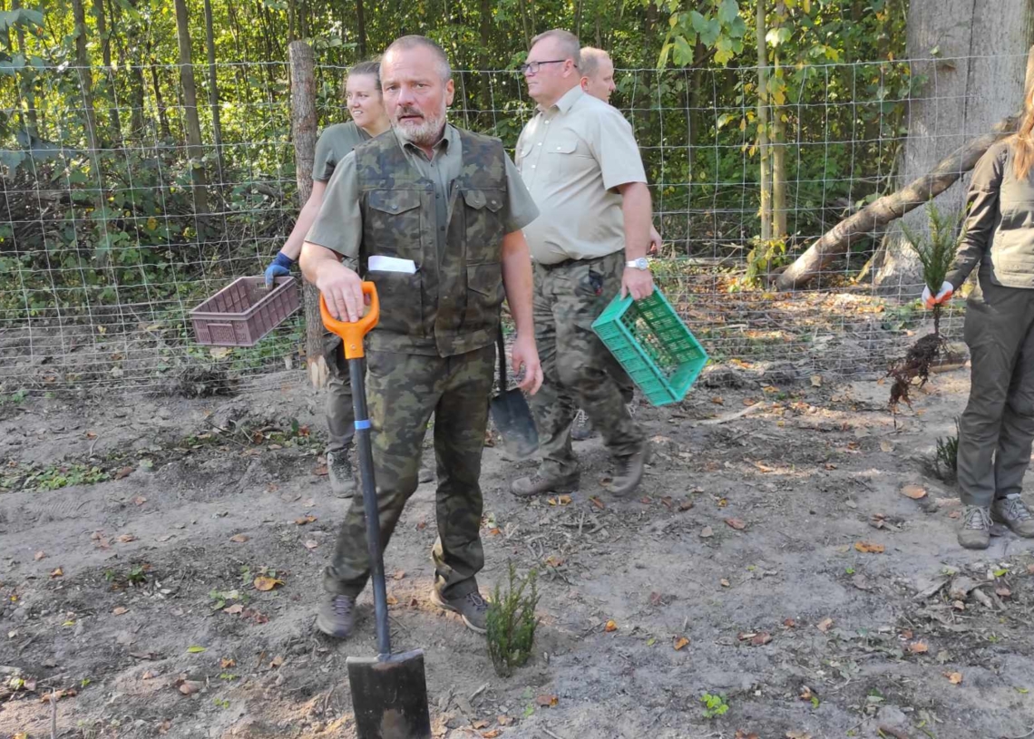#sadziMY 2023, czyli piąta edycja akcji narodowego sadzenia drzew [ZDJĘCIA]