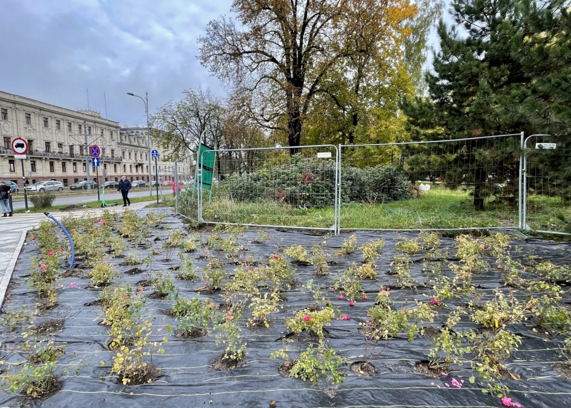 Modernizacja ul. Północnej. Do zakończenia prac pozostały dwa miesiące [ZDJĘCIA + WIDEO]