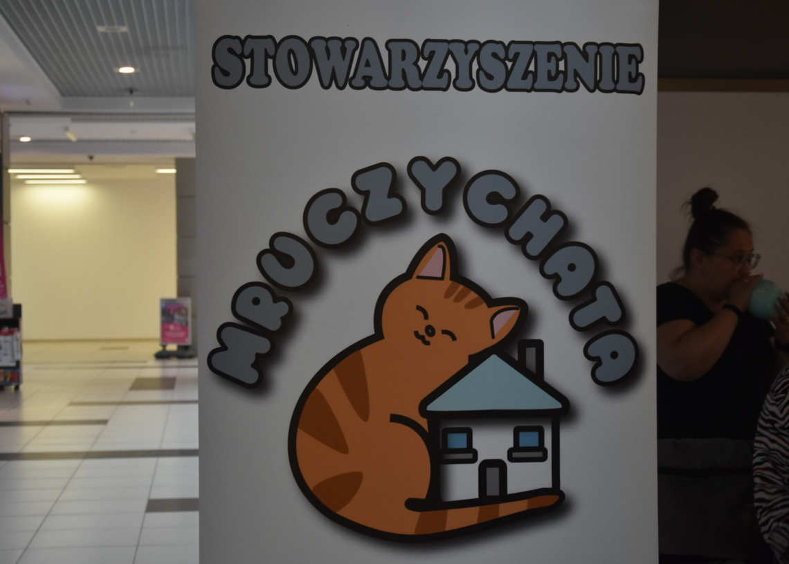 Charytatywny kiermasz dla zwierząt w Sieradzu 1 Charytatywny kiermasz sieradzkiego Stowarzyszenia Mruczychata