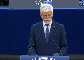 w Parlamencie Europejskim