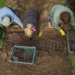 Sadzenie 52 tys. tulipanów w Ogrodzie Botanicznym w Łodzi 6 w Ogrodzie Botanicznym