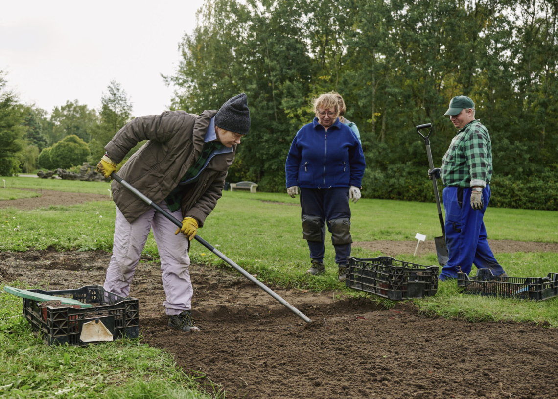Sadzenie 52 tys. tulipanów w Ogrodzie Botanicznym w Łodzi