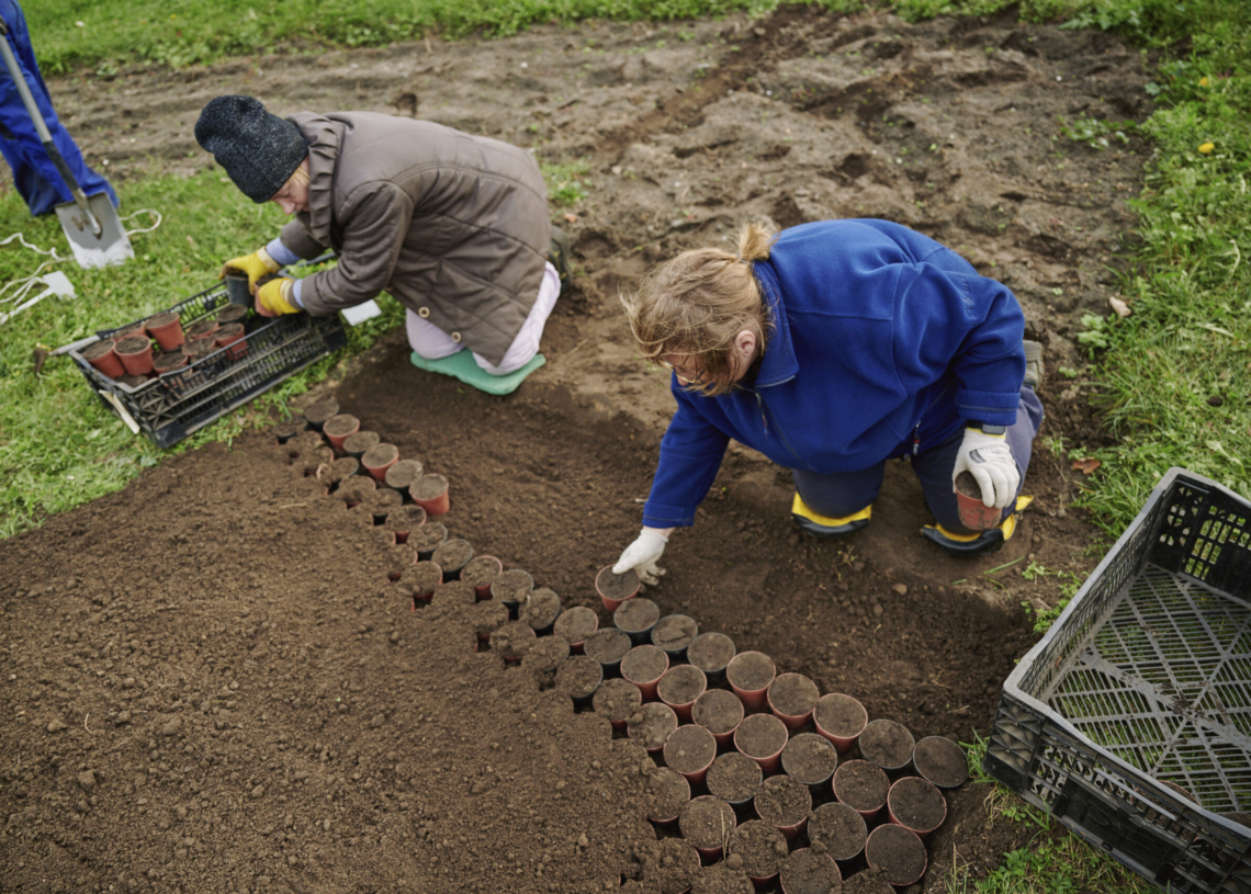 Sadzenie 52 tys. tulipanów w Ogrodzie Botanicznym w Łodzi