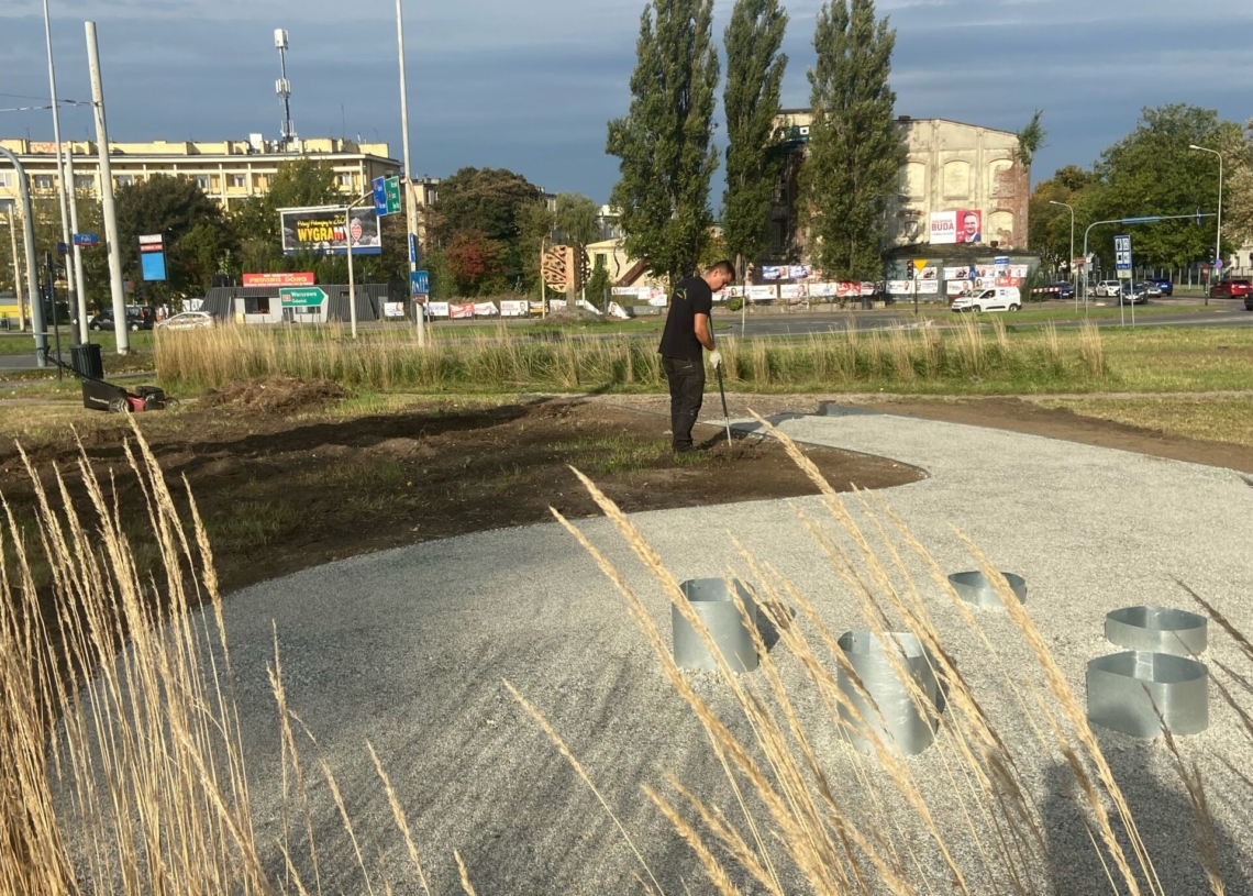 W tym tygodniu powstanie zieleniec przy Rondzie Solidarności. Posadzonych zostanie na nim 7 drzew