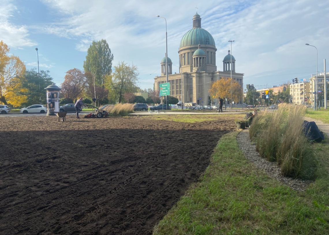 W tym tygodniu powstanie zieleniec przy Rondzie Solidarności. Posadzonych zostanie na nim 7 drzew
