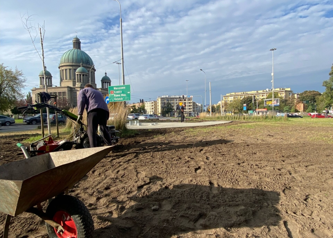 W tym tygodniu powstanie zieleniec przy Rondzie Solidarności. Posadzonych zostanie na nim 7 drzew