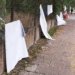 Plakaty wyborcze po wyborach. Kto je posprząta? 7 Plakaty wyborcze po wyborach