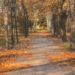 Pogoda na Wszystkich Świętych