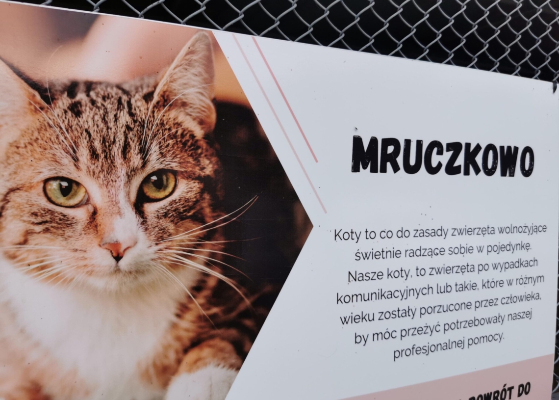 Prezenty dla schroniska w Czartkach od mieszkańców regionu