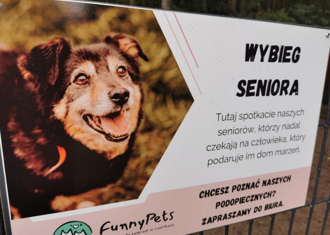 Prezenty dla schroniska w Czartkach od mieszkańców regionu