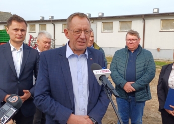 Pilotażowy program odbudowy pogłowia trzody chlewnej