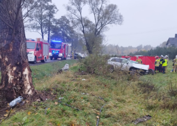 Śmiertelny wypadek w Kolonii Brużyca na DK71