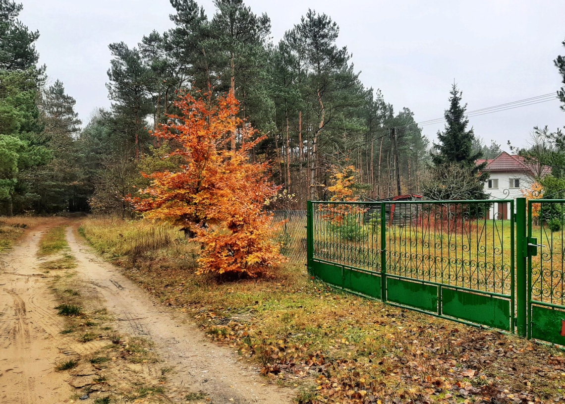 Najmniejsza miejscowość w Polsce znajduje się w województwie łódzkim