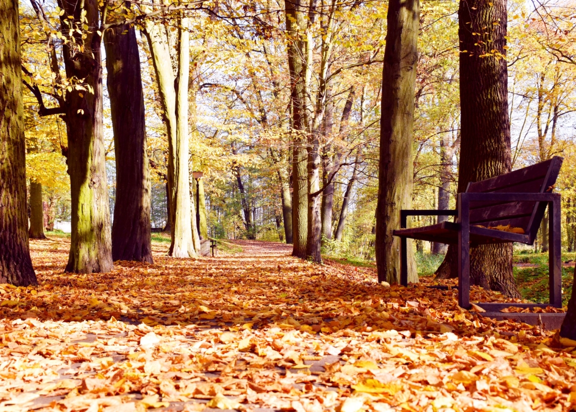 Zabytkowy park i dwór w Galewicach w powiecie wieruszowskim mają zostać zmodernizowane do końca tego roku 1 Park i dwór w Galewicach
