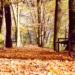 Zabytkowy park i dwór w Galewicach w powiecie wieruszowskim mają zostać zmodernizowane do końca tego roku 6 Park i dwór w Galewicach