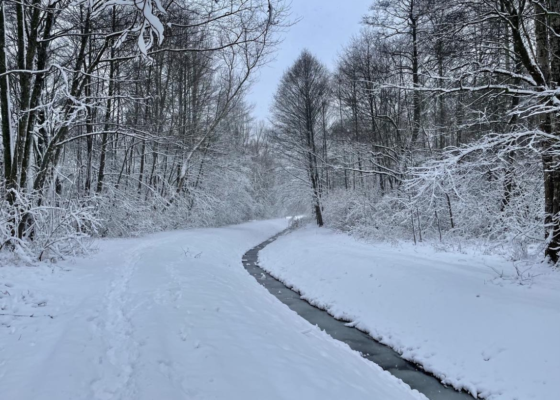 Pogoda na poniedziałek (27 listopada). Temperatura spadnie do minus 4 stopni 1 Pogoda na poniedziałek