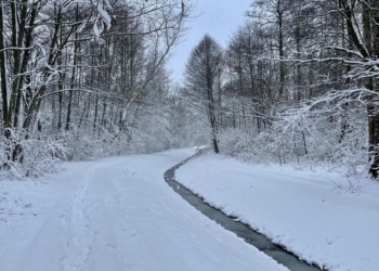 Pogoda na poniedziałek