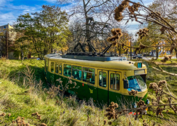 tramwaje GT8N
