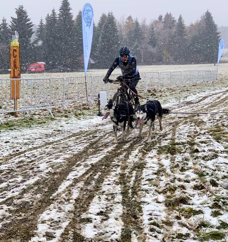 Mistrzostwa Świata w Psich Zaprzęgach